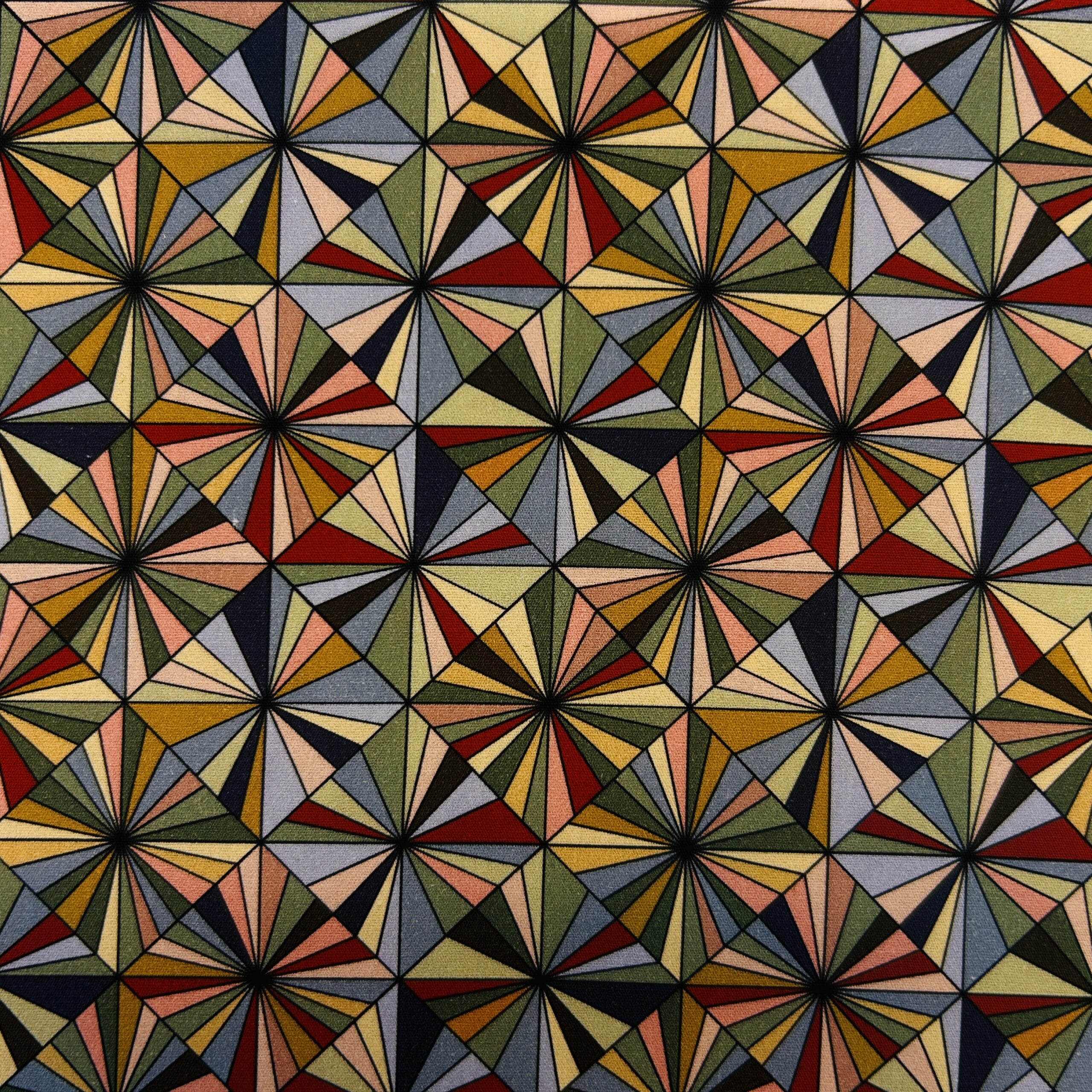 Baumwoll-Popeline Grafik 2 Varianten – Bild 3