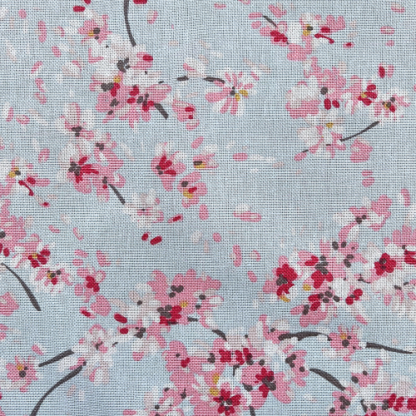 Blossom Petal